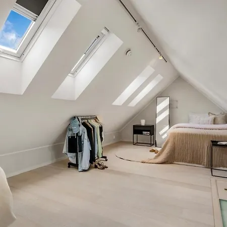 In The Center Of Daire *