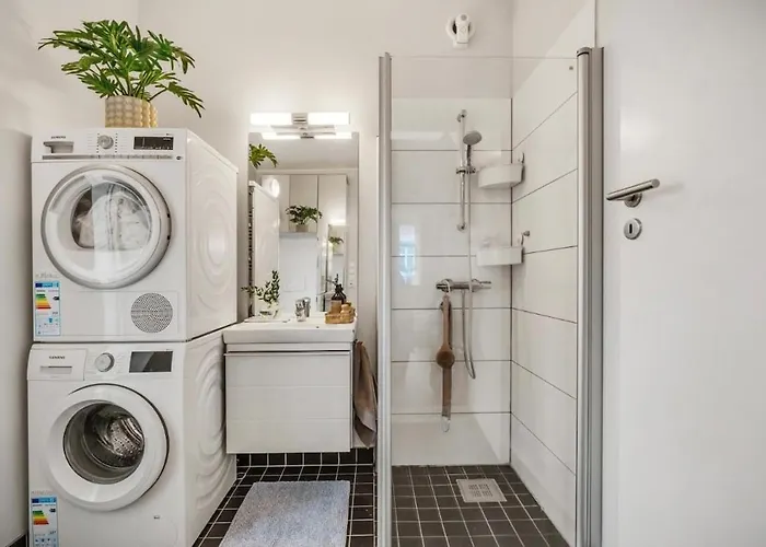 In The Center Of Daire *